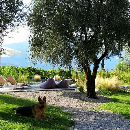 Farm stay Agritur Fiore D'ulivo *