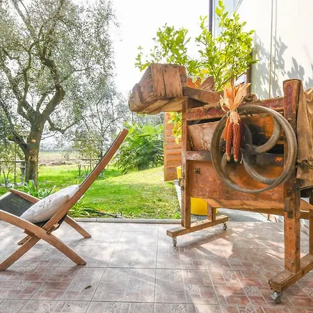 Agritur Fiore D'ulivo