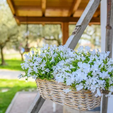 Agritur Fiore D'ulivo * Riva del Garda