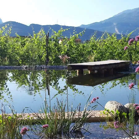 Agritur Fiore D'ulivo